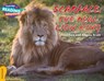 Cambridge Reading Adventures Scarface: The Real Lion King Gold Band - Jonathan and Angela Scott - 9781107560475
