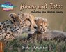 Cambridge Reading Adventures Honey and Toto: The Story of a Cheetah Family 1 Pathfinders - Jonathan and Angela Scott - 9781108436151