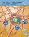 A Textbook of Neuroanatomy - Leslie P. Gartner ; Maria A. Patestas - 9781118687741