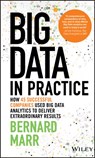 Big Data in Practice - Bernard (Advanced Performance Institute Marr - 9781119231387