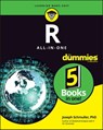 R All-in-One For Dummies - Joseph Schmuller - 9781119983712