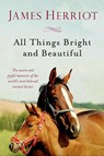 All Things Bright and Beautiful - James Herriot - 9781250058126