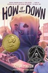 How It Went Down - Kekla Magoon - 9781250068231