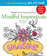 Zendoodle Coloring Big Picture - MILLER,  Tish - 9781250121394
