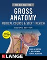 The Big Picture: Gross Anatomy, Medical Course & Step 1 Review, Second Edition - David Morton ; K. Bo Foreman ; Kurt Albertine - 9781259862632
