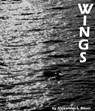 Wings - Alexander S. Bauer - 9781301095094