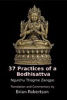 37 Practices of a Bodhisattva: The Way of an Awakening Being - Brian Robertson - 9781301703722