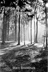 Trijntje en de man in de bezemkast - Marc Brookhuis - 9781301785483