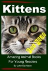 Kittens: For Kids - Amazing Animal Books For Young Readers - John Davidson - 9781310697548
