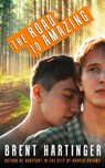 The Road to Amazing - Brent Hartinger - 9781310704239