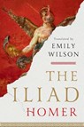 The Iliad - Homer - 9781324076148
