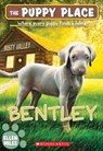 Bentley (The Puppy Place #53) - Ellen Miles - 9781338303025
