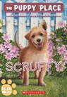Scruffy (the Puppy Place #67): Volume 67 - Ellen Miles - 9781338847352