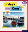 Essential Letters and Sounds: Essential Phonic Readers: Oxford Reading Level 4: A Week at the Coast - Carmel Reilly - 9781382038126