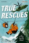 Read Write Inc. Fresh Start Readers: Book 11: True Rescues & A Dog Can Do What? - Giles Clare ; Jilly Hunt - 9781382053068