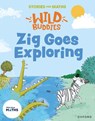 Stories for Maths: Zig Goes Exploring - Lorna Greengrass - 9781382057776