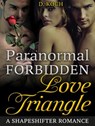 Paranormal Forbidden Love Triangle: A Shapeshifter Romance - D. Koch - 9781386103806