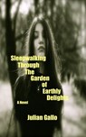 Sleepwalking Through The Garden of Earthly Delights - Julian Gallo - 9781386212461
