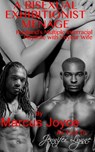 A Bisexual Exhibitionist Menage: Husband’s Multiple Interracial Playtime with Voyeur Wife - Marcus Joyce ; Jennifer Lynne - 9781386308645