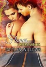 Flames from Ashes - Caitlyn Willows - 9781386821946