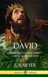David - F B Meyer - 9781387973095