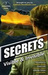 Secrets: Visible & Invisible - Corinna Turner ; Cynthia T. Toney ; Theresa Linden ; Susan Peek ; T.M. Gaouette ; Carolyn Astfalk ; Leslea Wahl - 9781393075226