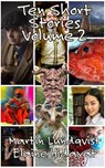 10 Short Stories Volume 2 - Martin Lundqvist - 9781393182467