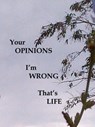 Your Opinions I'm Wrong That's Life - James Greene - 9781393808190