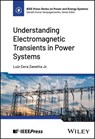 Understanding Electromagnetic Transients in Power Systems - Luiz Cera Zanetta Jr. - 9781394240562