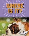 Where Is It? - Cari Meister - 9781398215528
