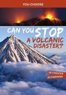 Can You Stop a Volcanic Disaster? - Matt Doeden - 9781398215900
