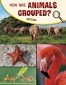 How Are Animals Grouped? - Lisa M. Bolt Simons - 9781398225251