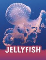 Jellyfish - Jaclyn Jaycox - 9781398238800