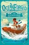 The Wicked Ship - Amelia Mellor - 9781398553194
