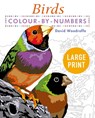 Large Print Colour by Numbers Birds - David Woodroffe - 9781398808904