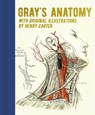 Gray's Anatomy: With Original Illustrations by Henry Carter - Henry Gray - 9781398820586