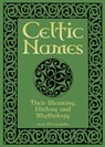 Celtic Names: Their Meaning, History and Mythology - Sean McLaughlin - 9781398842663