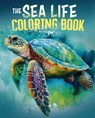 The Sea Life Coloring Book: Over 45 Images to Colour - Tansy Willow - 9781398843998