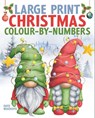 Large Print Christmas Colour-by-Numbers - David Woodroffe - 9781398851566