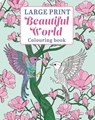 Large Print Beautiful World Colouring Book - Tansy Willow - 9781398872233