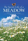 The Secret Life of a Meadow - Wilson Wall ; David Morgan - 9781399072540