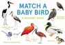 Match a Baby Bird - Unwin Mike ; Berrie Christine - 9781399608541