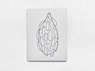 Works On Nature - Julie Nelson - 9781399980388
