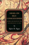 Hegel on Self-Consciousness - Robert B. Pippin - 9781400836949