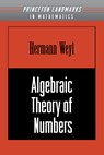 Algebraic Theory of Numbers. (AM-1), Volume 1 - Hermann Weyl - 9781400882809