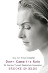 Down Came the Rain - Brooke Shields - 9781401308469