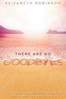 There Are No Goodbyes - Elizabeth Robinson - 9781401933876