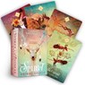 The Spirit Animal Oracle -  - 9781401952792