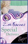 Special Delivery - Zoe Barnes - 9781405517317
