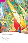 Easystart: Flying Home - Stephen Rabley - 9781405869461
